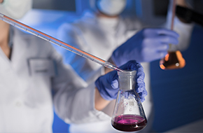 파미셀, 2024년 매출 649억원… ‘사상 최대 매출’